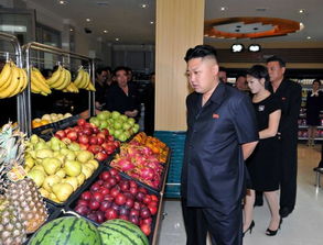 根据朝鲜媒体发布的图像,朝鲜领导人金正恩和夫人李雪主一起视察...